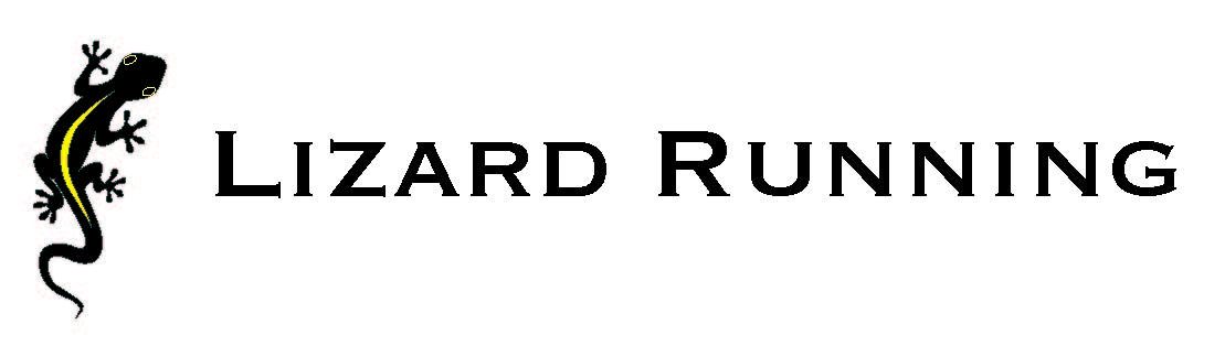 Lizard Running